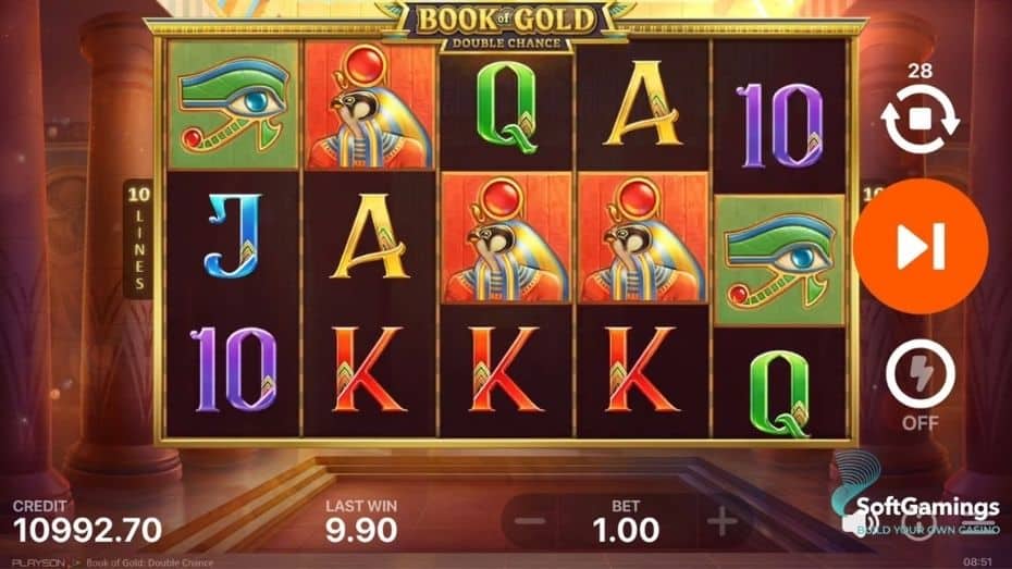 Tips & Tricks To Win Book Of Gold Slot
